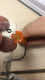 Датчик Redox (ОВП) SRH-1-PT-5M
